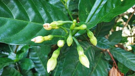 《心灵杀手2》的节奏将更慢 战斗更少