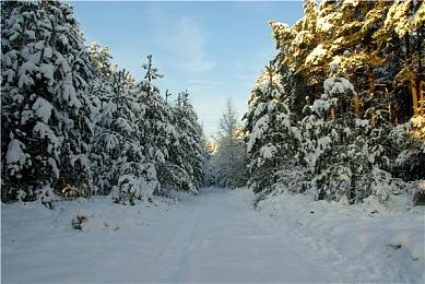 《全面战争：战锤3》DLC“腐朽王座”宣布4月30日发售