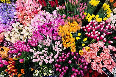 《月姬格斗Type Lumina》第二弹DLC于4月14日免费上线